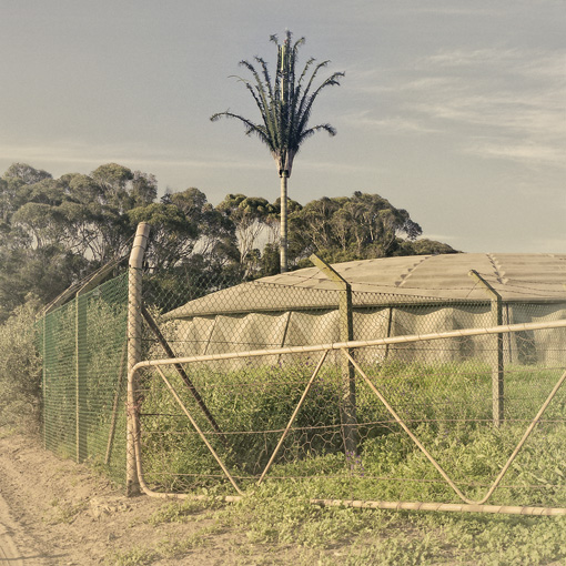 invasivespecies08.jpg
